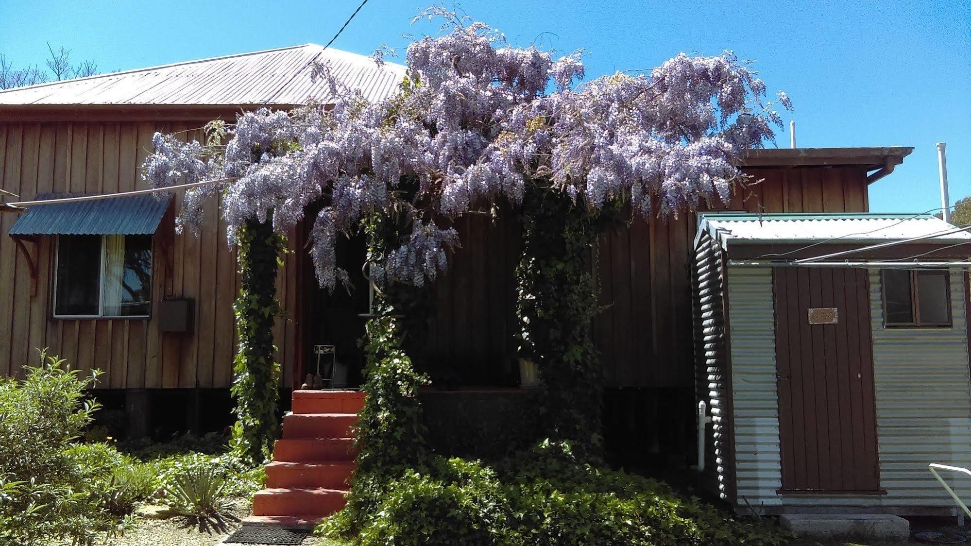 Wisteria Cottage Wyberba Exterior foto